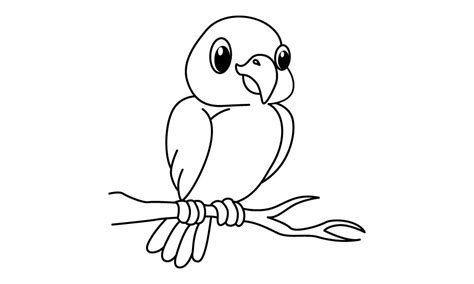cute sparrow bird coloring page graphic  ningsihagustin creative