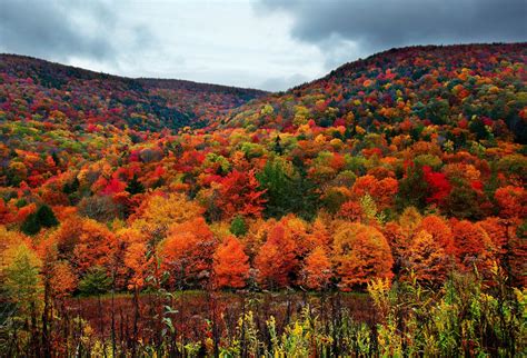 autunno dove ammirare  colori piu belli della stagione video