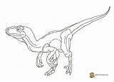 Coloring Velociraptor Pages Raptor Jurassic Blue Husband Wife Dinosaur Colorin Color Getcolorings Printable Getdrawings Clipart Popular Library Sketch Coloringhome Colorings sketch template
