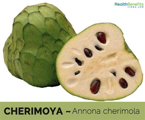 cherimoya facts  health benefits
