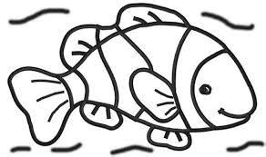 image result  nemo coloring pages clownfish fish coloring page
