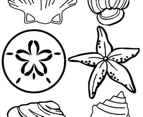 beach themed coloring pages preschool thousand    printable