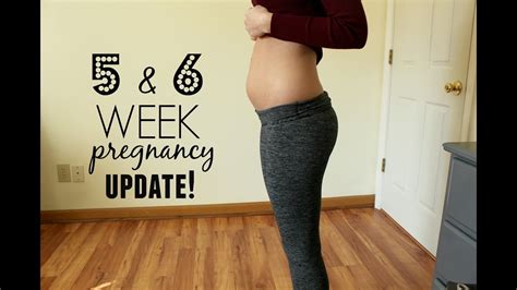 5 and 6 week pregnancy update symptoms cravings life update youtube