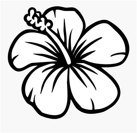 hibiscus flower coloring page  transparent clipart clipartkey