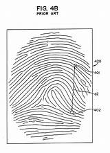 Patents Ridge Fingerprint sketch template