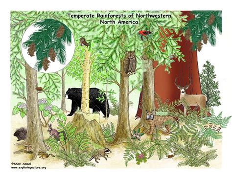 introduction  biomes  habitats