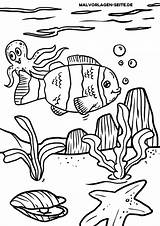 Malvorlage Clownfisch Fische Malvorlagen Ausmalbilder Unterwasser Seite sketch template