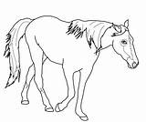 Tennessee Cavalinhos Cavalos Getcolorings Paso Tinker Caballo Pferd Caballos Pferde Palomino sketch template