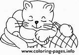 Coloring Slippery B253 Cat Pages Printable sketch template