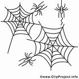 Spinne Spinnen Spinnennetz Malvorlage Helloween Clipartsfree Einzigartig Utklipp Piirros Ragni Edderkopper Bildtitel sketch template