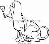 Hound Coloring Basset Pages Dog Drawing Getdrawings Getcolorings sketch template