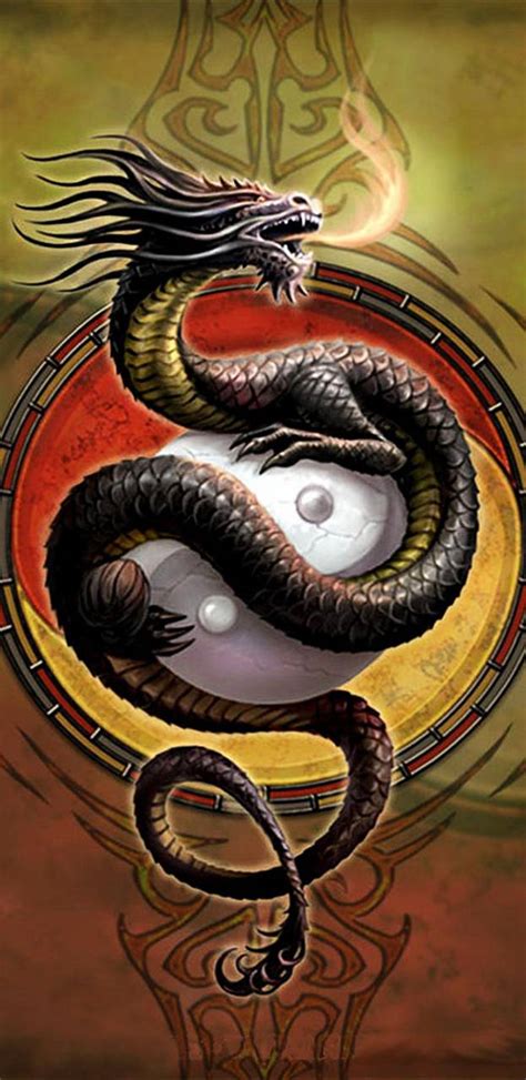 dragon yin   wallpaper mister wallpapers