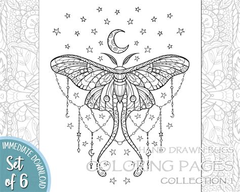 adult coloring book bugs colouring page bug printable pages etsy