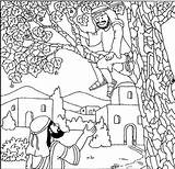 Zacchaeus Coloring Jesus Bible Tree Pages Printable Zaccheus Preschool Luke Climbs Story Kids Et Nt School Jésus Comments Children Testament sketch template