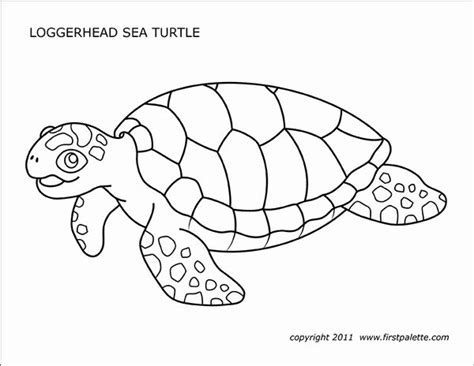 baby turtle coloring pages   sea turtle template milano