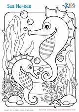 Coloring Pages Sea Horse sketch template