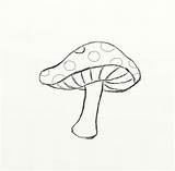 Mushrooms Doodle Inspo Trippy Grunge sketch template