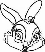 Bunny Coloring Pages Thumper Miss Face Thumpers Sisters Cartoon Wecoloringpage Bambi sketch template