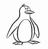 Penguin Coloring Penguins Printable Pages Outline Drawing Template Pittsburgh Cartoon Clipart Print Templates Colouring Cute Kids Funny Animal Color Drawings sketch template