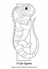 Iguana Letter Colouring sketch template
