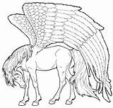 Pegasus Coloring Pages Realistic So Adults Tired Print Color Horses Line sketch template
