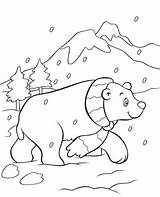 Coloring Polar Bear Pages Christmas Ours Cute Printable Baby Polaire Cub Dessin Book Colorier Cartoon Getcolorings Snow Little Color Designlooter sketch template