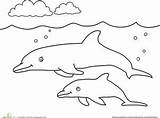 Dolphin Baby Color Worksheets Dolphins Mommy Preschool Coloring Pages Whale Clip Animal Animals Babies Choose Board sketch template