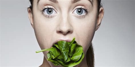 study claims plants  feel     eaten   dont