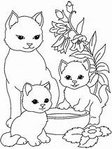 Colorir Gatos Gatinhos Desenhos Gato Fofos sketch template