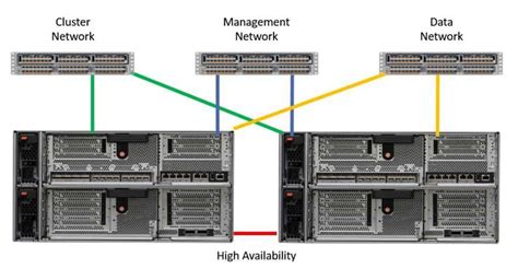 netapp cluster management data  ha networks tutorial flackbox