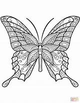 Coloring Butterfly Zentangle Pages Supercoloring Printable Drawing Dot sketch template