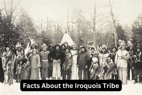 facts   iroquois tribe  fun  history