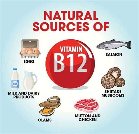 10 Top Vitamin B12 Rich Foods And Their Benefits