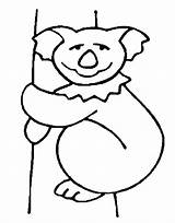 Koala Bear Coloring Pages Kids Printable Bears Color Popular Coloringhome Library Fun sketch template