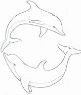Dolphin Dauphin Dolphins Delphine Delfin Jumping Malen Ideen Siterubix Arouisse Dolfijn Getdrawings Nachzeichnen Acrylbilder Wandbemalung Muscheln Erstellen Outlined Coloring sketch template