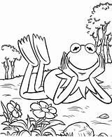 Kermit Frog Mitraland sketch template