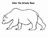 Grizzly Clipartmag Designlooter sketch template