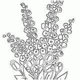 Coloring Pages Bed Flower sketch template
