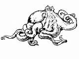 Octopus Coloring Pages Realistic Drawing Book Kids Printable Getdrawings Sea Animals Ocean Popular sketch template