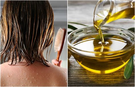 magical ways olive oil  give  gorgeous hair