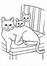 Coloring Kitten Cat Pages Family Kids Printable sketch template
