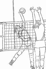 Colornimbus Voleibol Voleyball sketch template