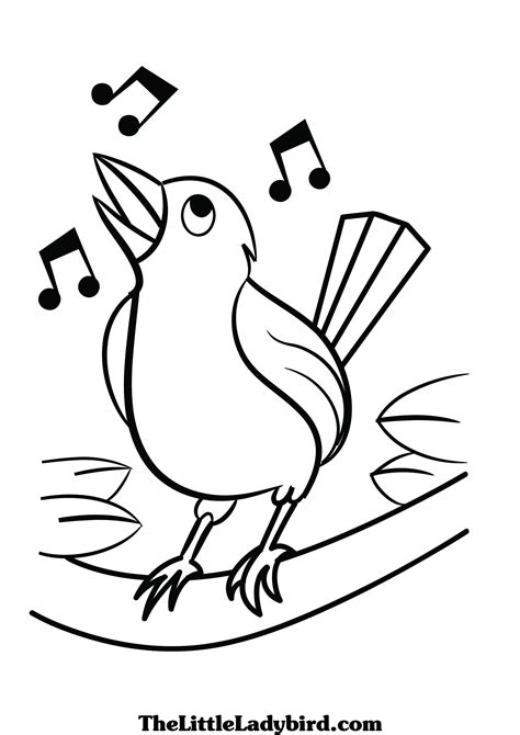 singing bird drawing  getdrawings