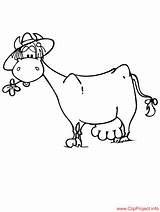 Colouring Cow Coloring Sheet Title sketch template