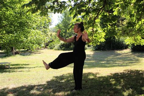 Técnicas Como El Tai Chi El Chi Kung Qi Gong Y El Enraizamiento