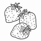 Strawberry Coloring Strawberries Pages Little Top Three Fruits sketch template