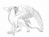 Griffin Gryphon Drawing Mythical Creatures Drawings Izora Gryphons Deviantart Creature Griffins Sketches Animal Fantasy Phoenix Cool Mystical Reference Bird Papan sketch template
