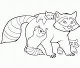 Coloring Raccoon Pages Kids Printable Racoon Family Raccoons Sheet Bestcoloringpagesforkids Sheets Animal Library Adult Woodland Draw Printables Clip Forest Getdrawings sketch template