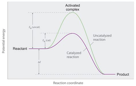 true  enzymes   catalyse spontaneous reactions  dh   negative
