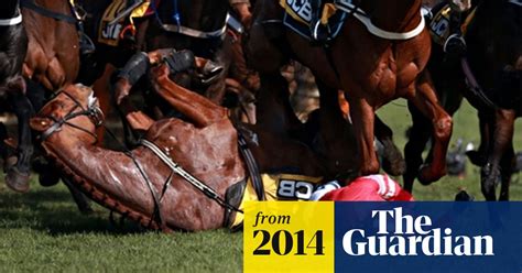 Daryl Jacob And Ruby Walsh Injured In Horror Falls At Cheltenham